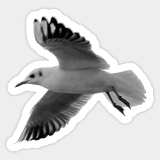 Seagull Sticker